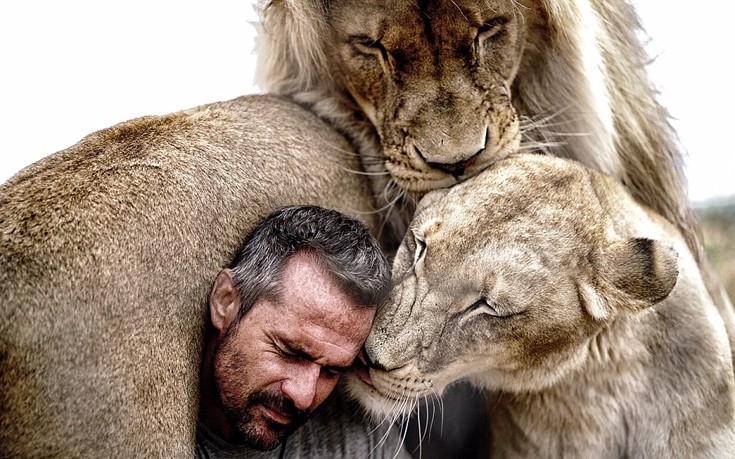 Εκπληκτικά καρέ του «γητευτή των λιονταριών» εν δράσει