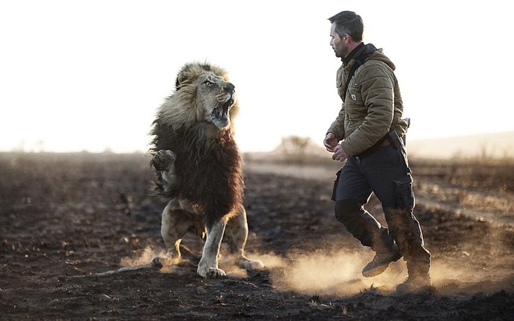 liaodaria2 liaodaria2