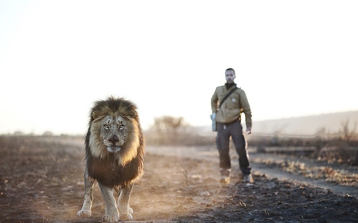 liaodaria3 liaodaria3