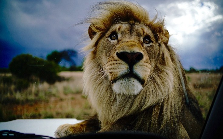 liaodaria4 liaodaria4