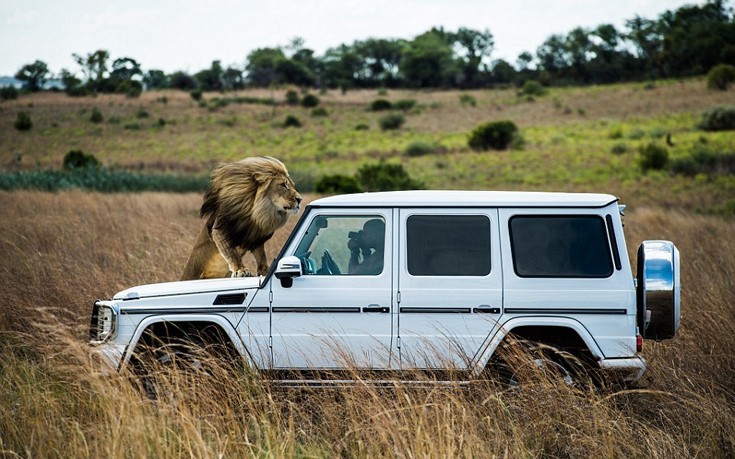 liaodaria5 liaodaria5