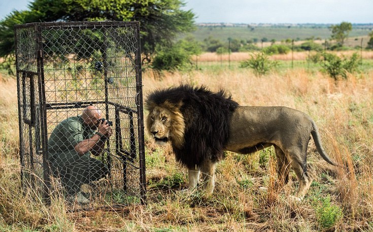 liaodaria6 liaodaria6