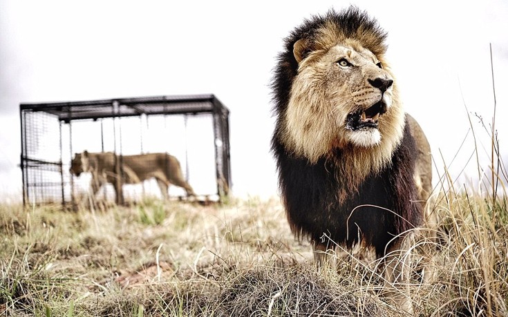 liaodaria7 liaodaria7