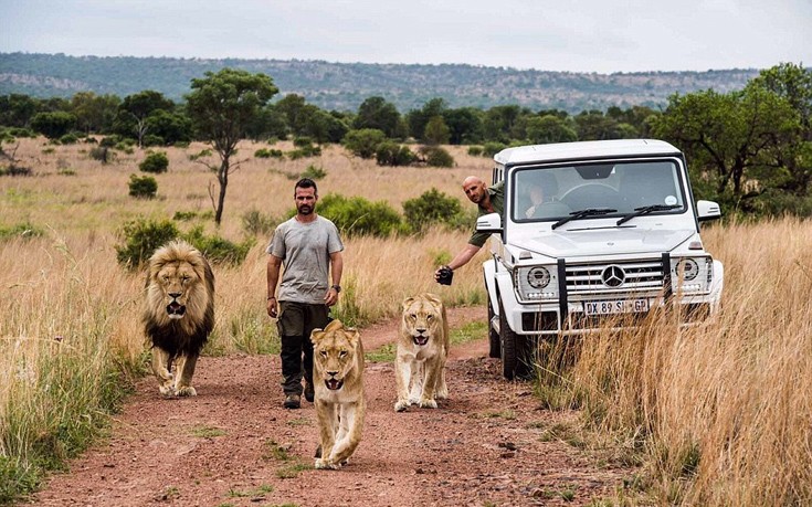 liaodaria8 liaodaria8