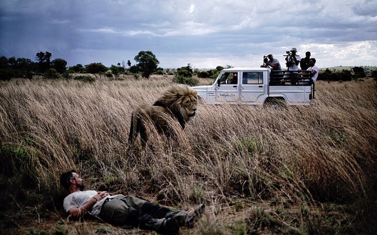 liaodaria9 liaodaria9