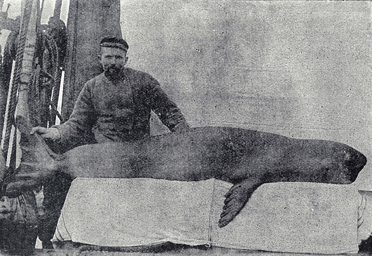 nnrtiitsoppplleese11 nnrtiitsoppplleese11