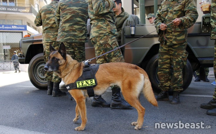 parelsah_armata17 parelsah_armata17