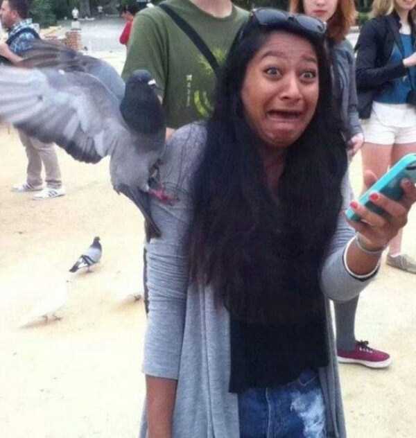 perfectly-timed-photos-17