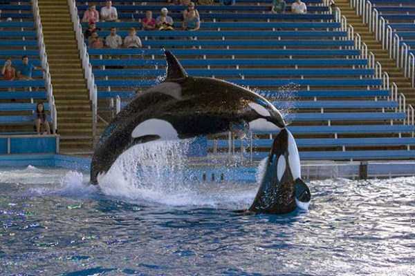 perfectly-timed-photos-9