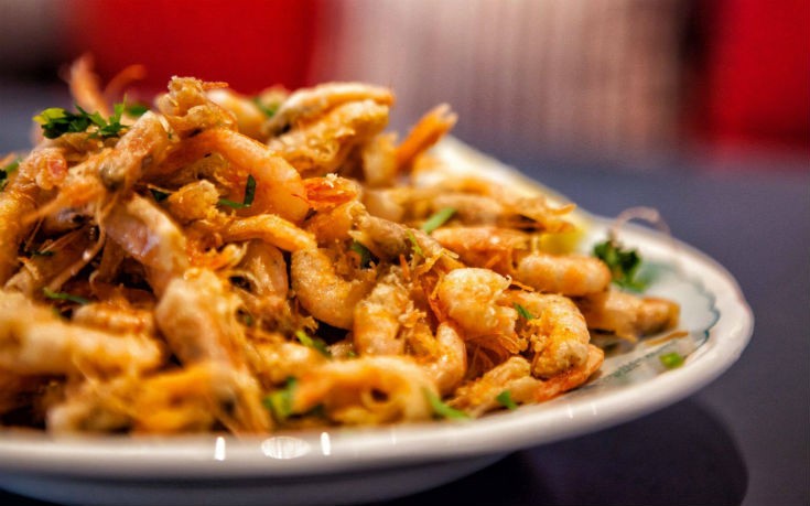 psarakia_thalassina psarakia_thalassina