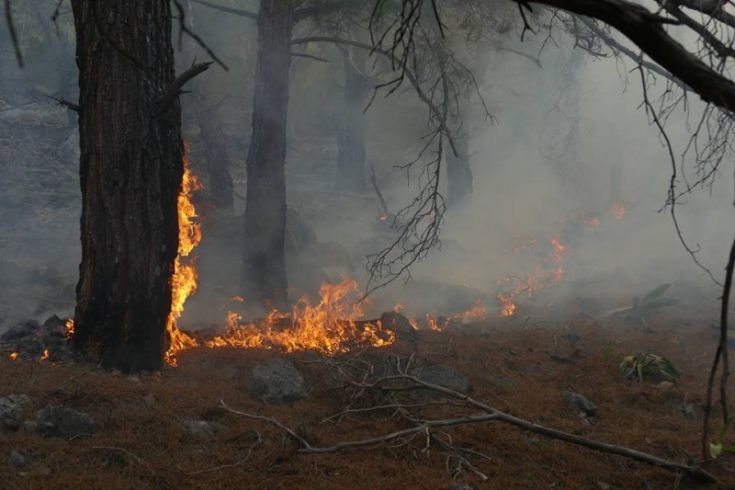 Υπό έλεγχο η φωτιά στα Σφακιά