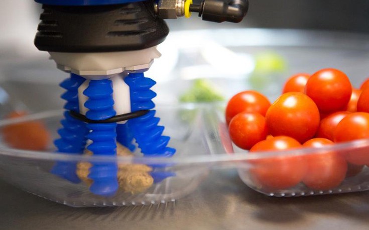 skkfkoollsoofw4 skkfkoollsoofw4