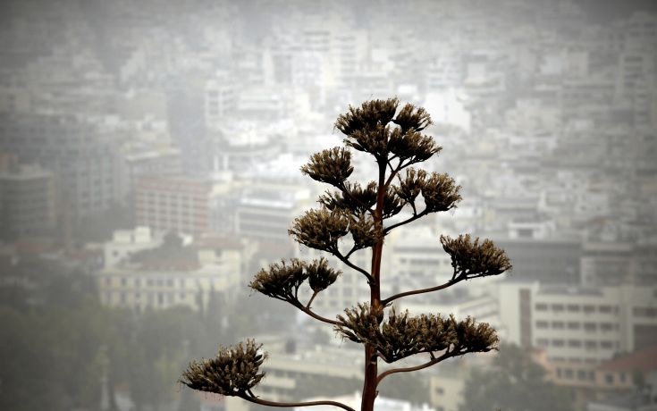 Καλλιάνος: Το Σαββατοκύριακο «μετακομίζει» η Σαχάρα στην Ελλάδα