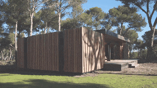 spasodafda spasodafda