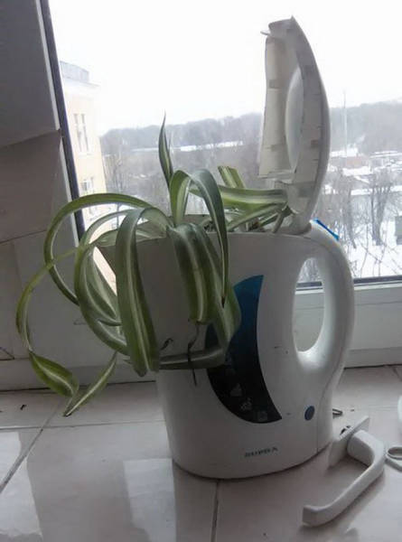 wtf_is_russias_normal_22