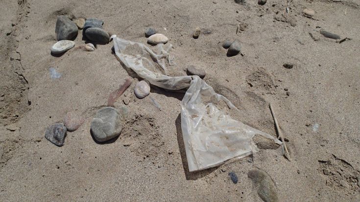 13041010_1166470836751055_7003542873759657659_o 13041010_1166470836751055_7003542873759657659_o