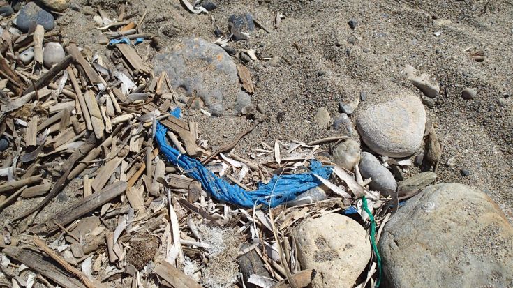 13055028_1166470916751047_6579619236544666015_o 13055028_1166470916751047_6579619236544666015_o