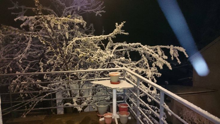 13105912_546616165517776_149809431_o - Copy 13105912_546616165517776_149809431_o - Copy