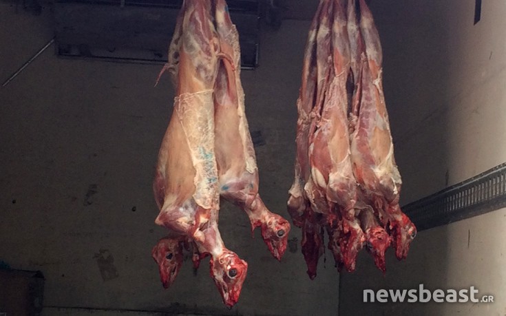 GiatroiToyKosmoy3 GiatroiToyKosmoy3