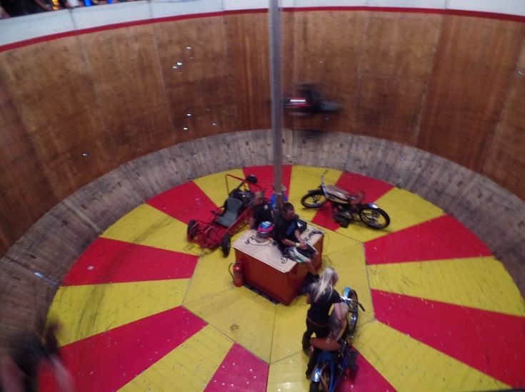 Guy-in-WoD Guy-in-WoD