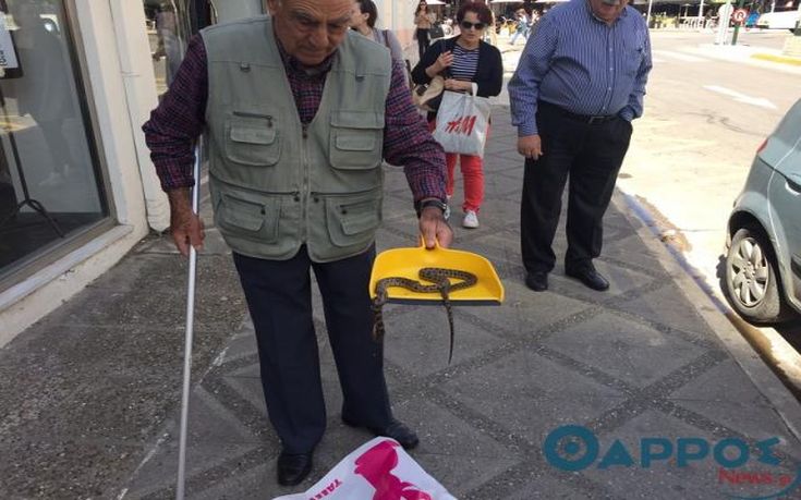 Φίδι έκοβε βόλτες στο κέντρο της Καλαμάτας