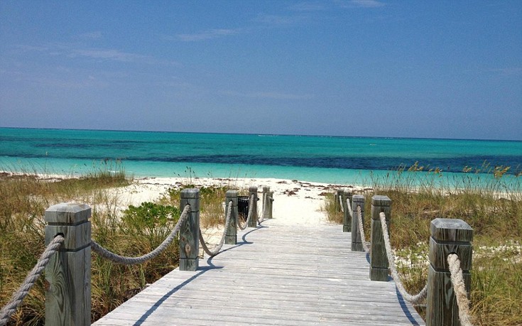 TripAdvisor5 TripAdvisor5