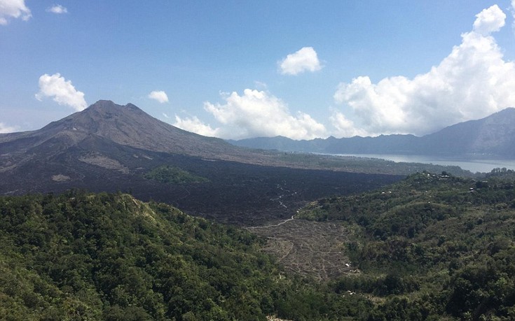 TripAdvisor6 TripAdvisor6