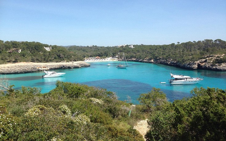 TripAdvisor7 TripAdvisor7