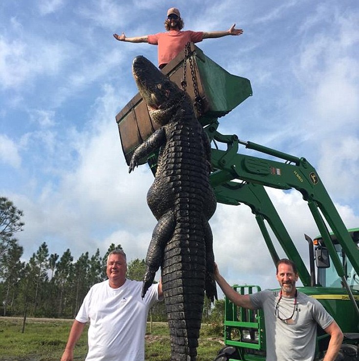 aliagasdfah3 aliagasdfah3