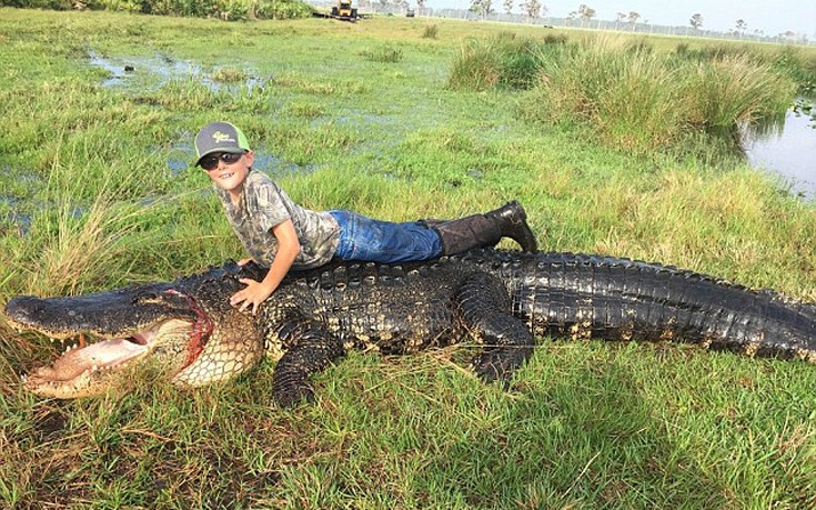 aliagasdfah4 aliagasdfah4