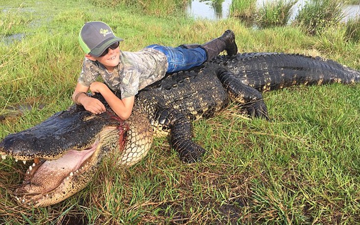 aliagasdfah5 aliagasdfah5