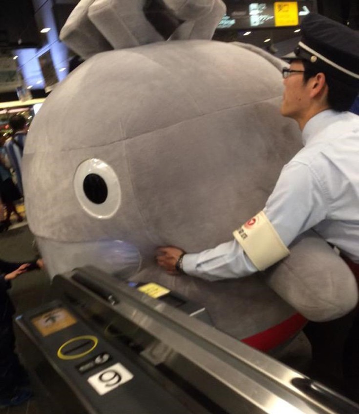 arjasoafu3 arjasoafu3