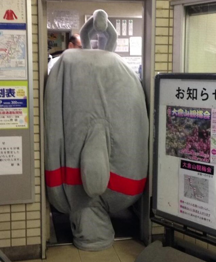 arjasoafu5 arjasoafu5