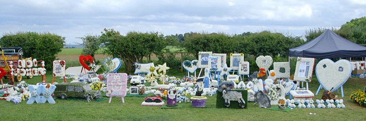 gfuasduansd6 gfuasduansd6