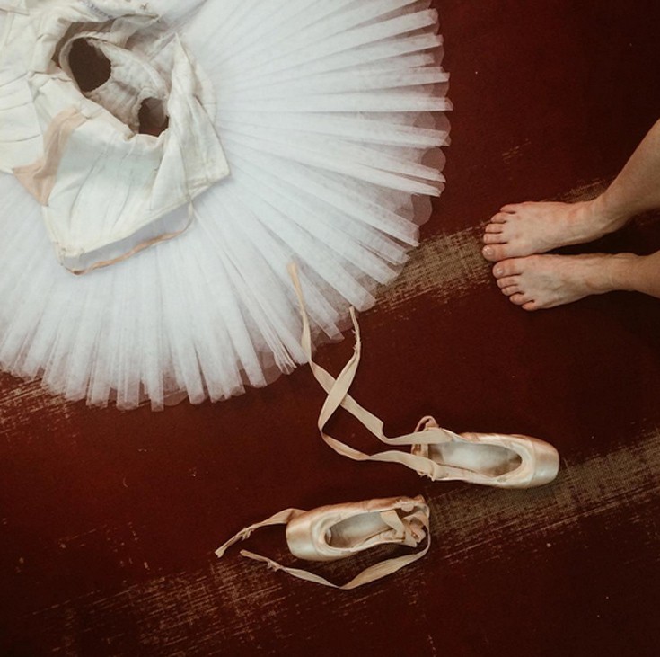 mpaletio11 mpaletio11