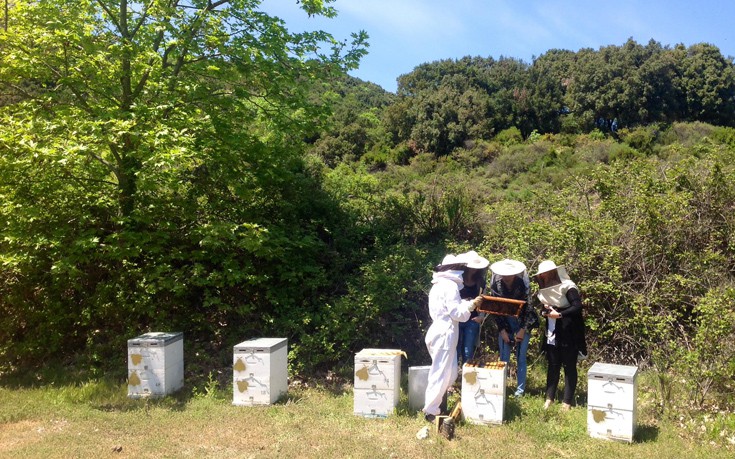 oolasnfdavb4 oolasnfdavb4