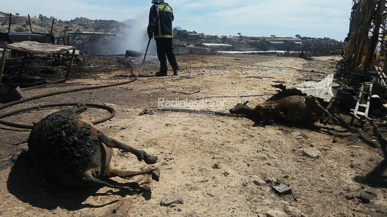 pirkagia-ierapetra-katastrofes-7 pirkagia-ierapetra-katastrofes-7