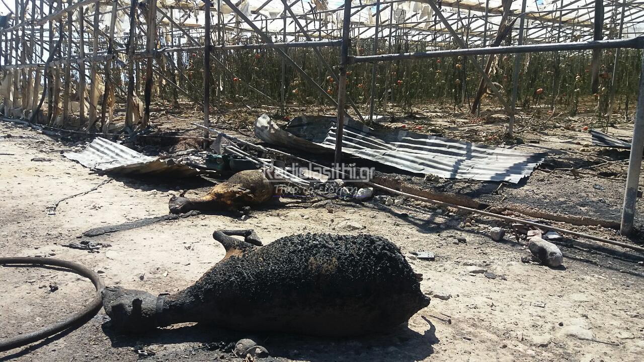 pirkagia-ierapetra-katastrofes-8 pirkagia-ierapetra-katastrofes-8