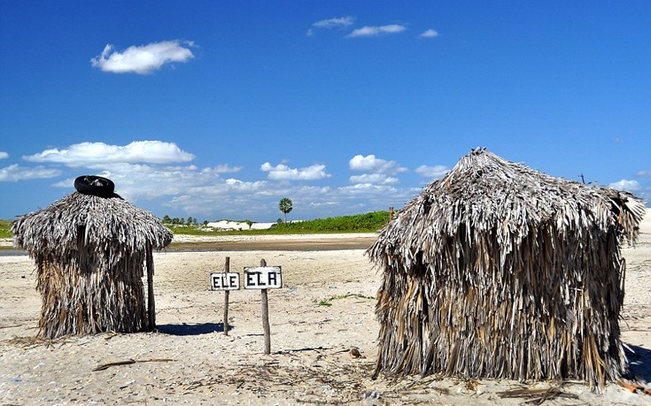 toualetes8 toualetes8