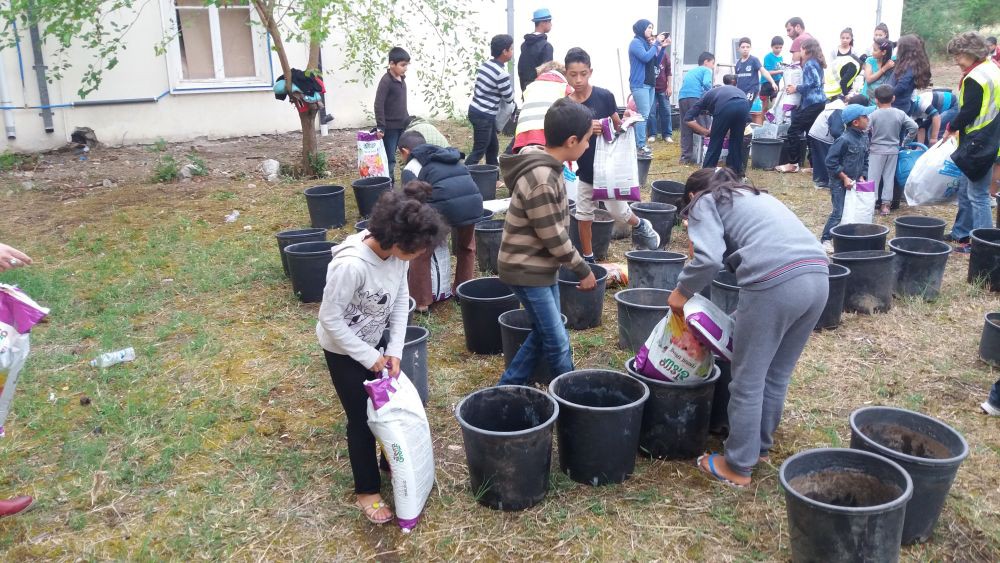 Πρόσφυγες και αλληλέγγυοι έφτιαξαν λαχανόκηπο στις Θερμοπύλες