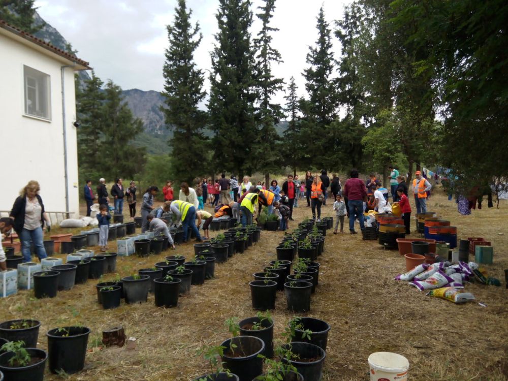 IMG_20160522_144544-2 IMG_20160522_144544-2