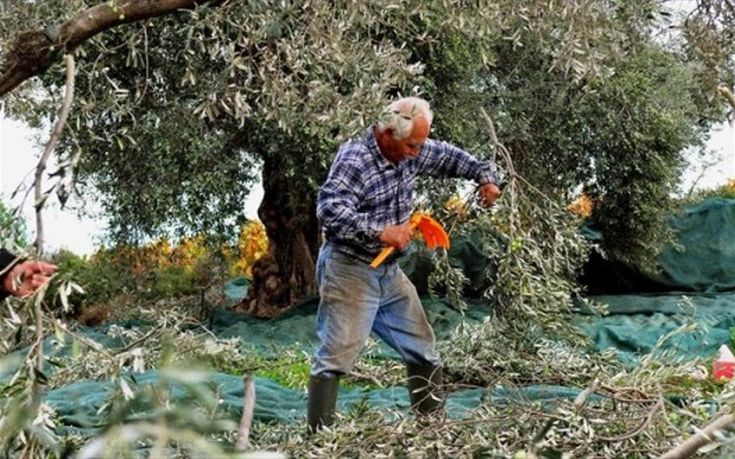 Στα σκαριά η σύνδεση του εργόσημου με τις κοινοτικές ενισχύσεις