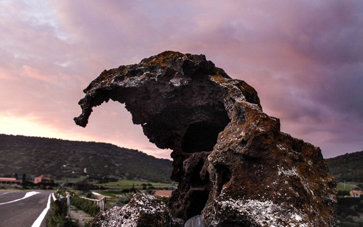 elefasrdahb2 elefasrdahb2