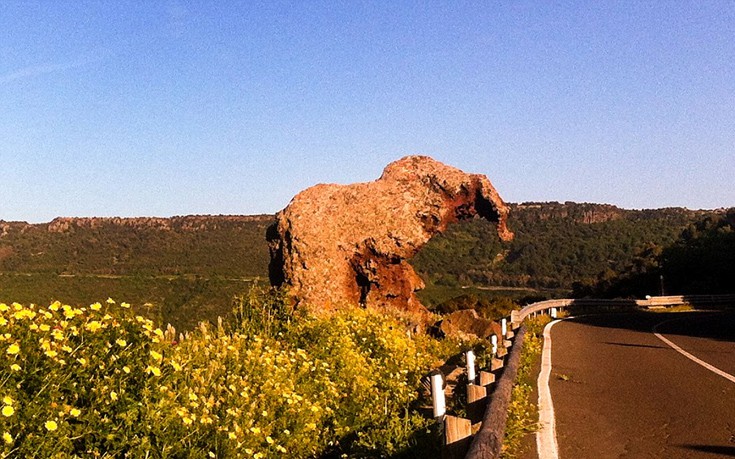 elefasrdahb4 elefasrdahb4