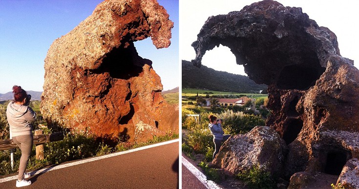 elefasrdahb5 elefasrdahb5