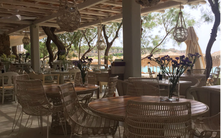 kalua_5_edited kalua_5_edited