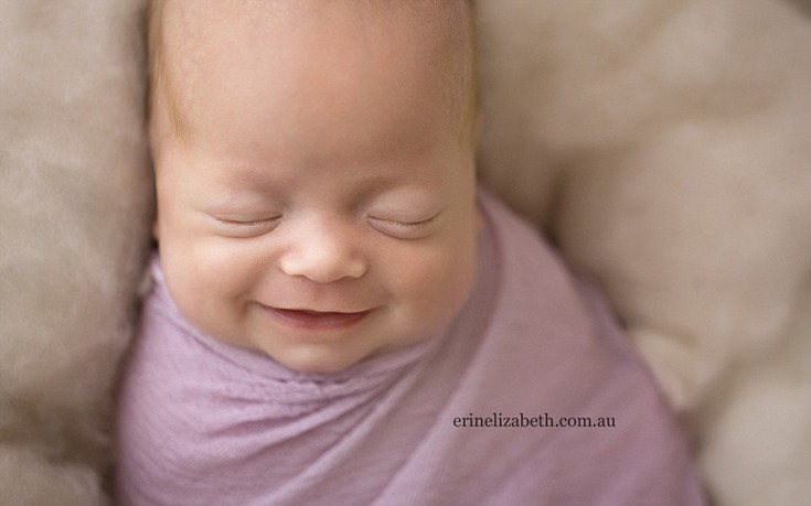 moraksdai5 moraksdai5