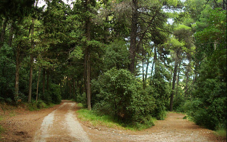 varimpompi varimpompi