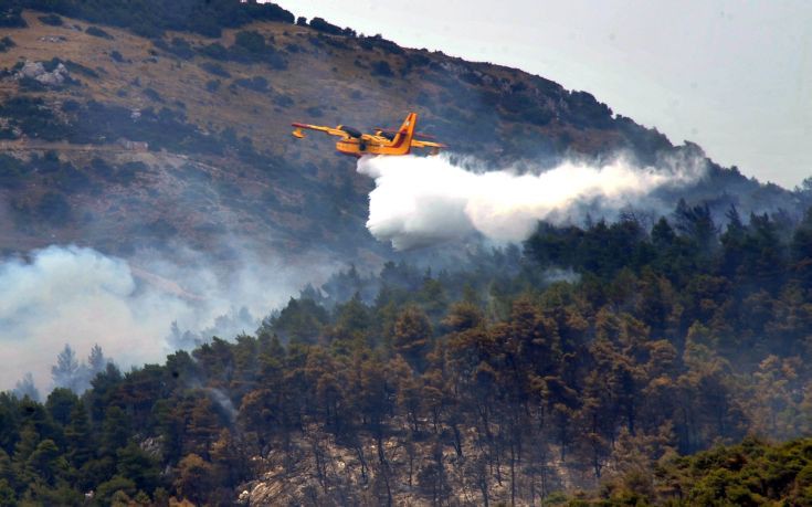 Σε πλήρη ύφεση η πυρκαγιά στην Πιερία