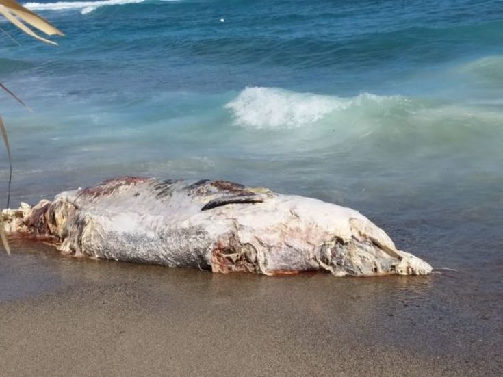 20160614_164434-600x450 20160614_164434-600x450